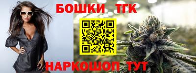 МДПВ Вышний Волочёк