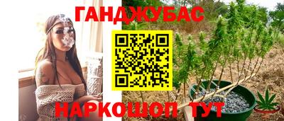 прущие крисы Вязьма