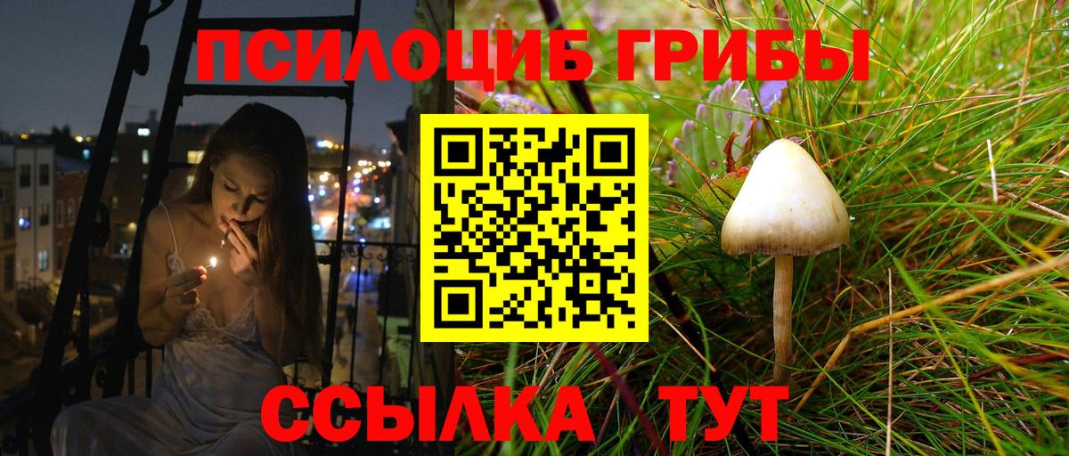 Буйнакск  Галлюциногенные грибы ЛСД  наркошоп  Вход с VPN 
